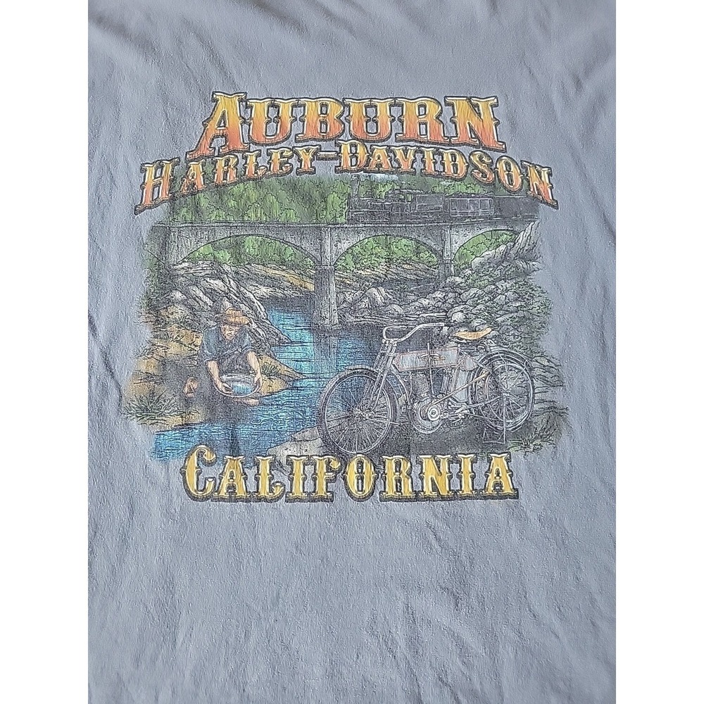 Harley Davidson Vintage T-shirt, Single Stitch, Auburn, Gold Search, Train, Rive
